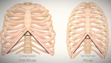 Wide Rib Cage