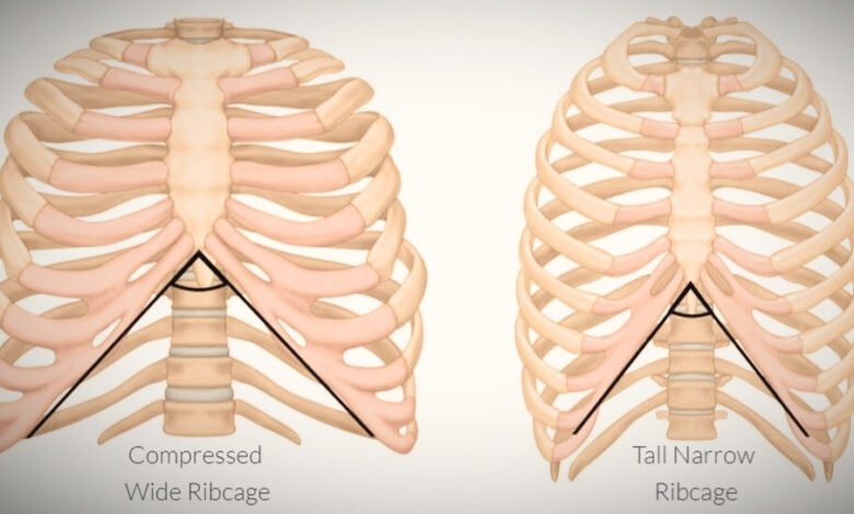 Wide Rib Cage