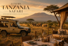 Luxury Tanzania Safari