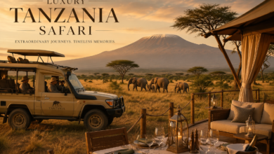 Luxury Tanzania Safari
