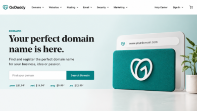 GoDaddy Domain