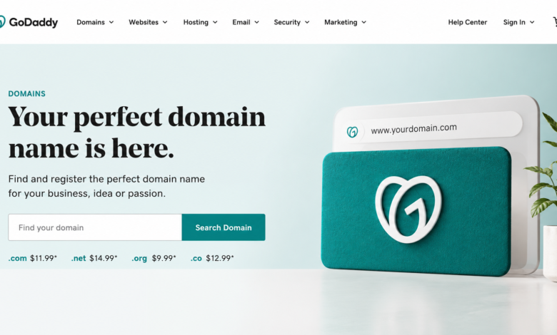 GoDaddy Domain