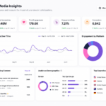 Tomoson Social Media Insights