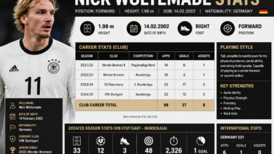 Nick Woltemade Stats